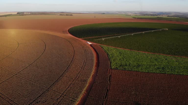 Pivôs centrais em Cristalina